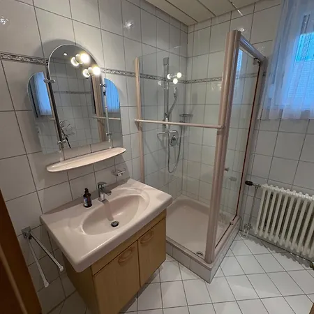 Naturblick Am Dorfausgang Rheinau